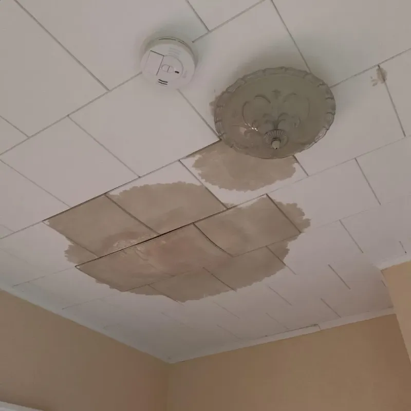 Ceiling Water Damage Repair in Deer Park, OH